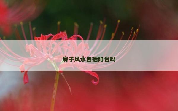 房子風水包括陽臺嗎