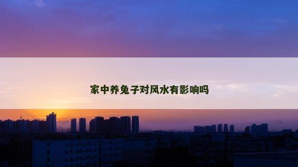 家中養兔子對風水有影響嗎