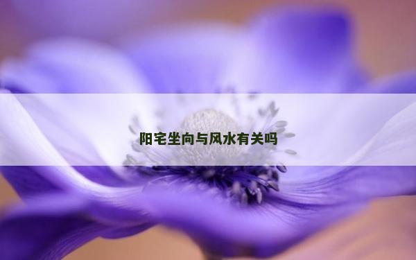 陽宅坐向與風水有關嗎