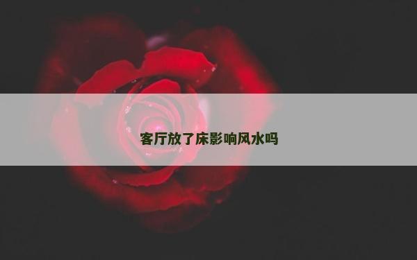 客廳放了床影響風水嗎