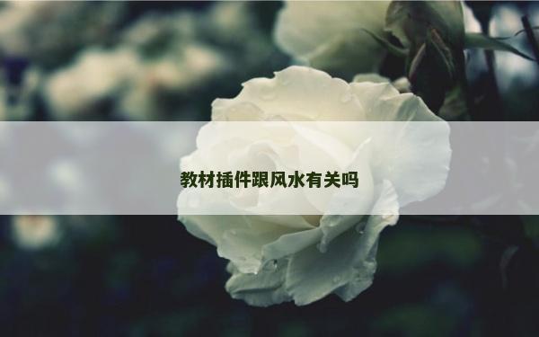 教材插件跟風水有關嗎 教材插件跟風水有關嗎