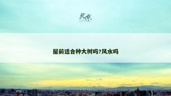 屋前適合種大樹嗎?風水嗎