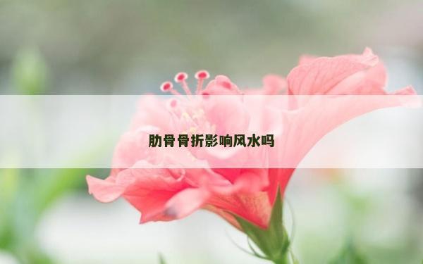 肋骨骨折影響風水嗎 肋骨骨折影響風水嗎