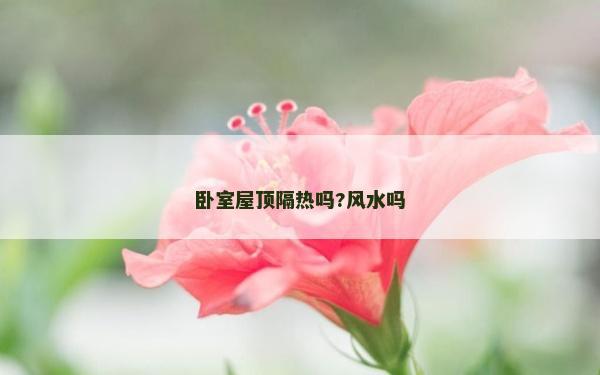 臥室屋頂隔熱嗎?風水嗎