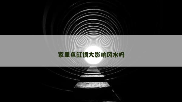 家里魚缸很大影響風水嗎 家里魚缸很大影響風水嗎