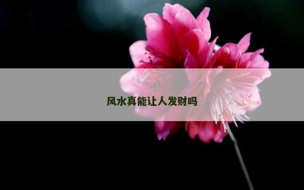 風水真能讓人發財嗎