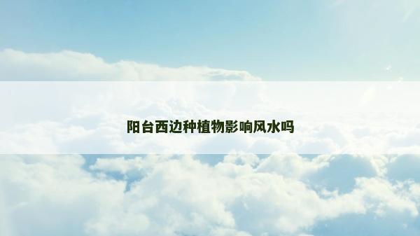陽臺西邊種植物影響風水嗎