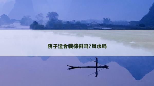 院子適合栽棕樹嗎?風(fēng)水嗎