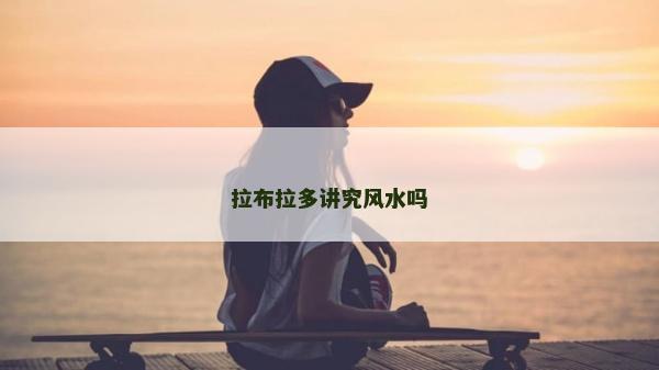 拉布拉多講究風水嗎 拉布拉多講究風水嗎