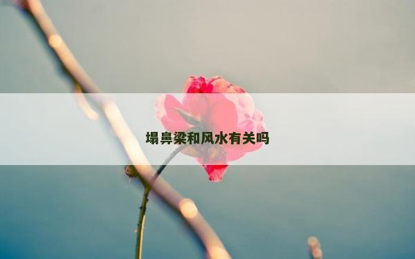 塌鼻梁和風水有關嗎