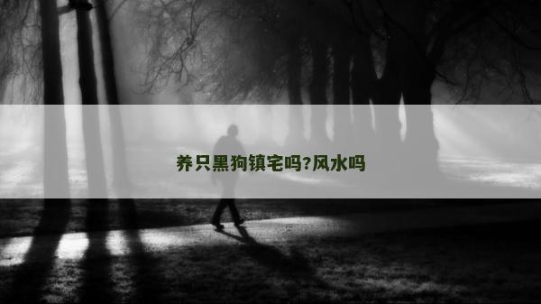 養只黑狗鎮宅嗎?風水嗎