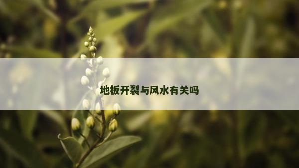地板開裂與風(fēng)水有關(guān)嗎