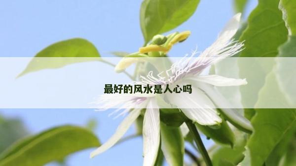 最好的風水是人心嗎