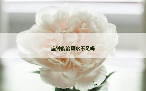座鐘能治風水不足嗎 座鐘能治風水不足嗎