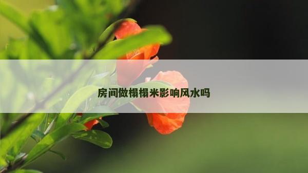 房間做榻榻米影響風水嗎
