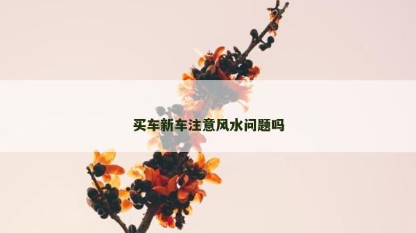 買車新車注意風水問題嗎
