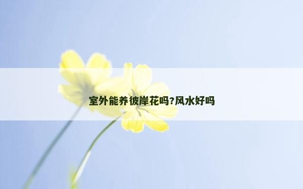 室外能養彼岸花嗎?風水好嗎 室外能養彼岸花嗎?風水好嗎