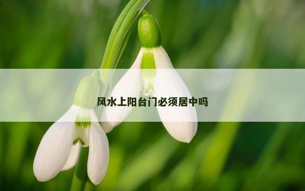 風水上陽臺門必須居中嗎