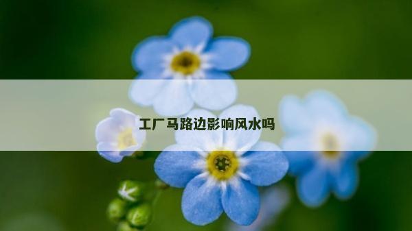 工廠馬路邊影響風水嗎
