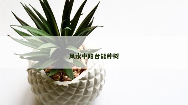 風水中陽臺能種樹 風水中陽臺能種樹