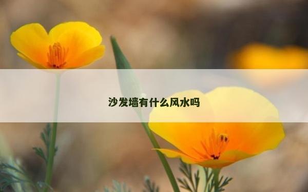 沙發墻有什么風水嗎
