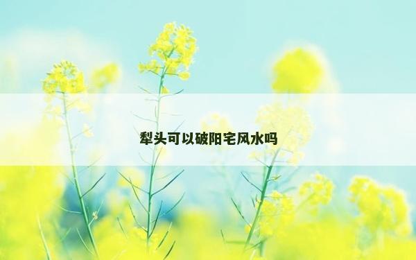 犁頭可以破陽宅風水嗎 犁頭可以破陽宅風水嗎