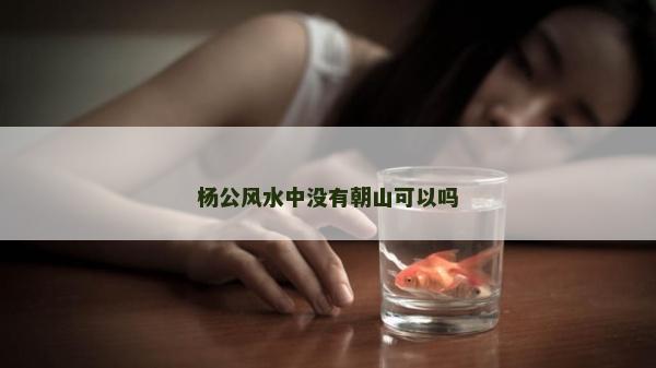 楊公風水中沒有朝山可以嗎 楊公風水中沒有朝山可以嗎