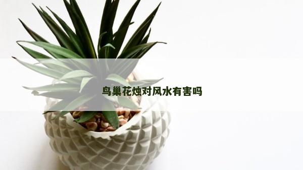 鳥巢花燭對(duì)風(fēng)水有害嗎