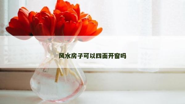 風水房子可以四面開窗嗎