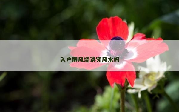 入戶屏風墻講究風水嗎