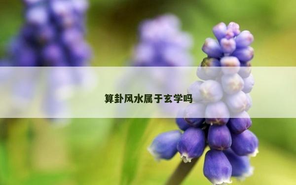 算卦風水屬于玄學嗎