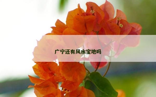 廣寧還有風水寶地嗎