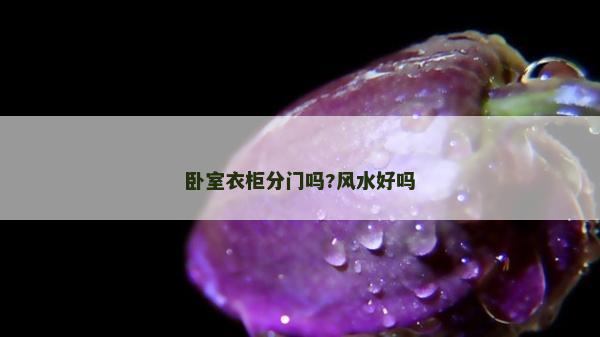 臥室衣柜分門嗎?風(fēng)水好嗎