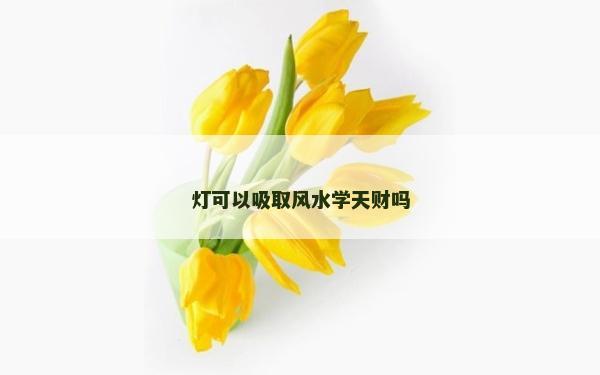 燈可以吸取風(fēng)水學(xué)天財(cái)嗎