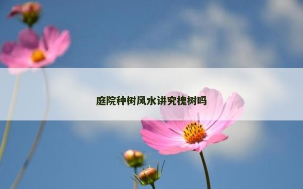 庭院種樹風水講究槐樹嗎