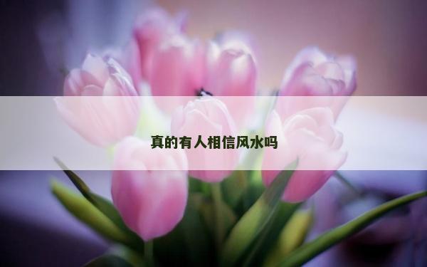 真的有人相信風(fēng)水嗎