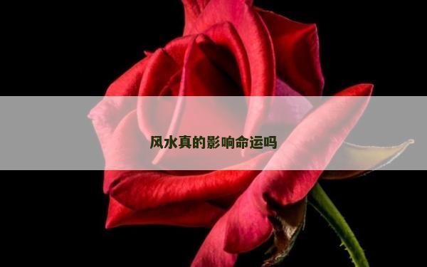 風水真的影響命運嗎