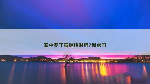 家中養(yǎng)了貓咪招財(cái)嗎?風(fēng)水嗎
