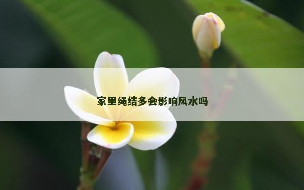 家里繩結多會影響風水嗎