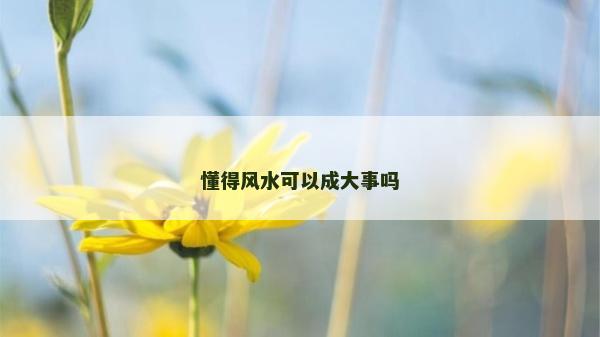 懂得風水可以成大事嗎 懂得風水可以成大事嗎