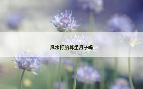 風水打胎算坐月子嗎