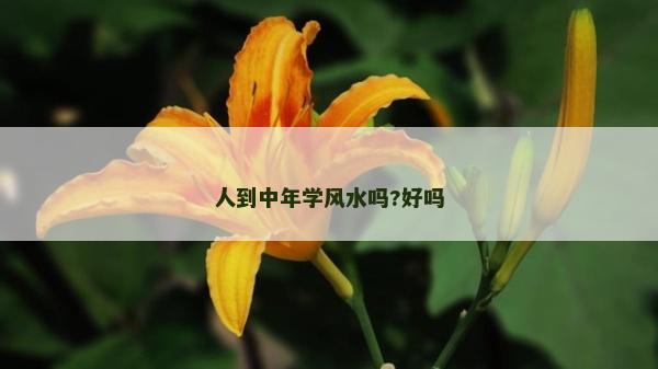 人到中年學(xué)風(fēng)水嗎?好嗎