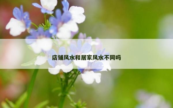 店鋪風水和居家風水不同嗎