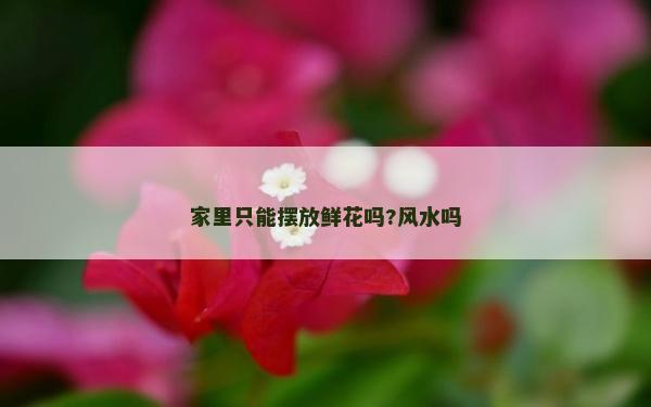 家里只能擺放鮮花嗎?風水嗎 家里只能擺放鮮花嗎?風水嗎