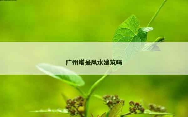 廣州塔是風水建筑嗎 廣州塔是風水建筑嗎