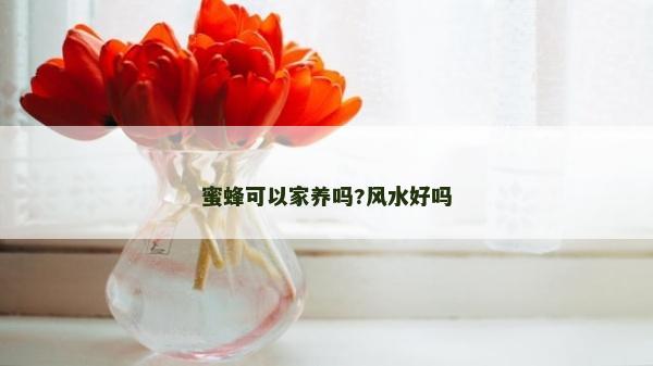 蜜蜂可以家養嗎?風水好嗎 蜜蜂可以家養嗎?風水好嗎