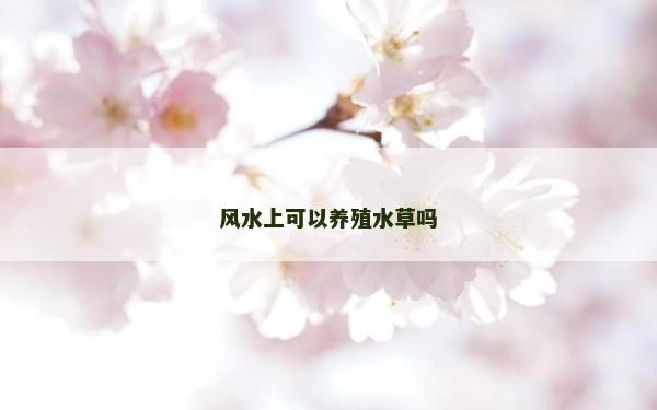 風(fēng)水上可以養(yǎng)殖水草嗎
