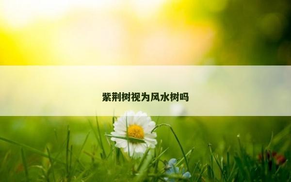 紫荊樹視為風水樹嗎