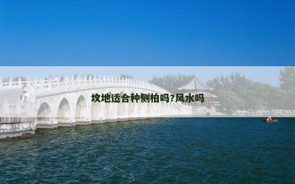 墳地適合種側柏嗎?風水嗎