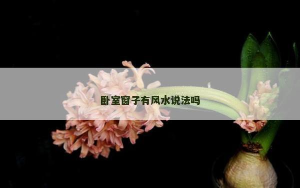 臥室窗子有風水說法嗎